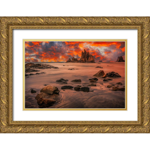 Canary Sunset Gold Ornate Wood Framed Art Print with Double Matting by Popan, Adrian