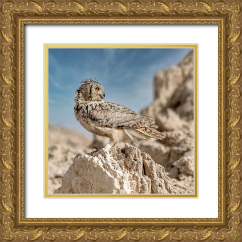 Pharaoh eagle owl Gold Ornate Wood Framed Art Print with Double Matting by Elkahlawi, Ahmed