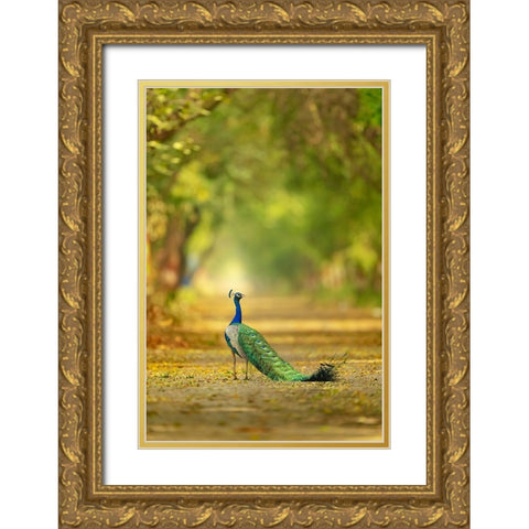 Wild is my favourite Color Gold Ornate Wood Framed Art Print with Double Matting by Deep, Ujjawal