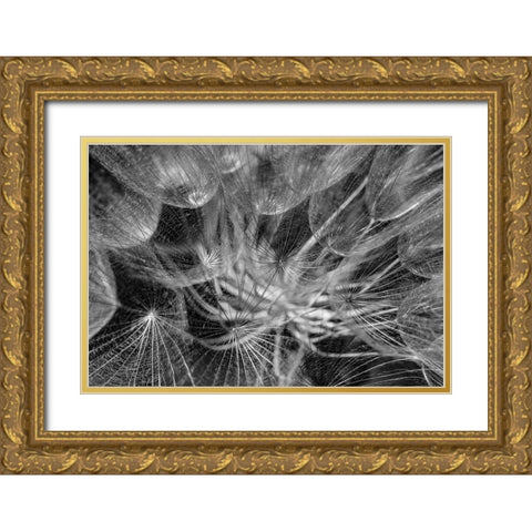 in to the mood Gold Ornate Wood Framed Art Print with Double Matting by Amihai, Ilan
