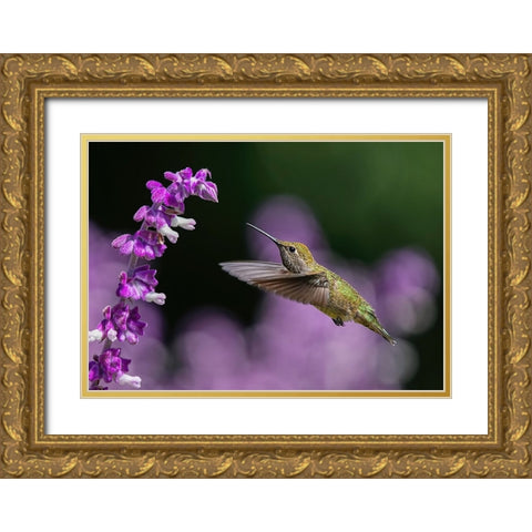 Welcome To The Purple World Gold Ornate Wood Framed Art Print with Double Matting by Huang, Xiaojian