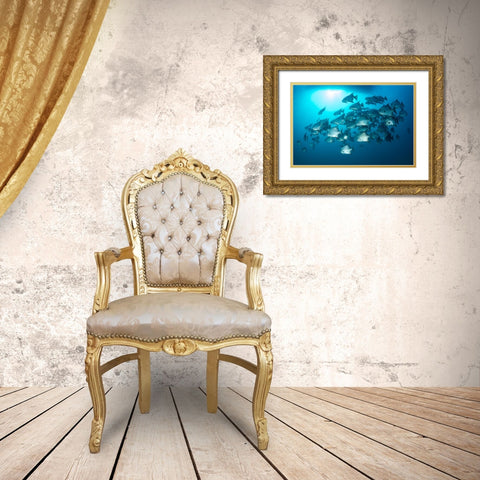 School Time Gold Ornate Wood Framed Art Print with Double Matting by Y Lin, Ryan