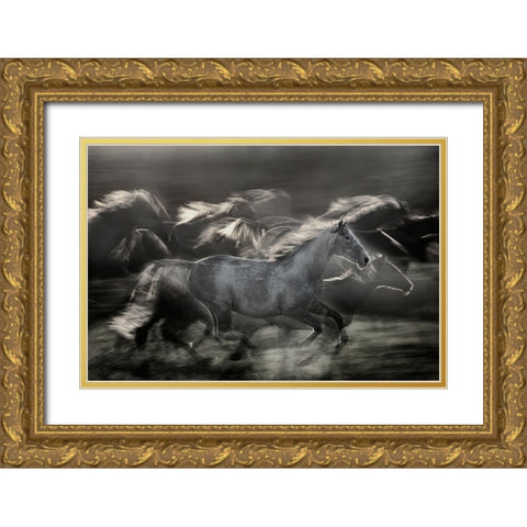 In Gallop Gold Ornate Wood Framed Art Print with Double Matting by Malovrh, Milan