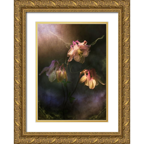 Common Columbine Gold Ornate Wood Framed Art Print with Double Matting by Zvinakeviciute, Kristina