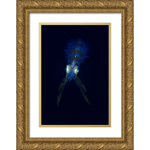 Squid Gold Ornate Wood Framed Art Print with Double Matting by Y Lin, Ryan