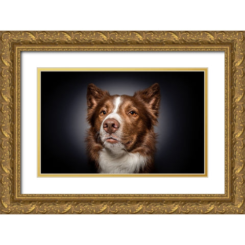 Qhow Are You Do In?Q Gold Ornate Wood Framed Art Print with Double Matting by Irene Sattrup, Dorte