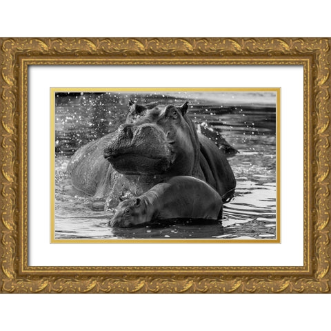 DonT Go Near It Gold Ornate Wood Framed Art Print with Double Matting by Damico, Giuseppe