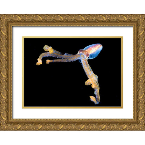 Victory Gold Ornate Wood Framed Art Print with Double Matting by Ichinoseki, Sayaka