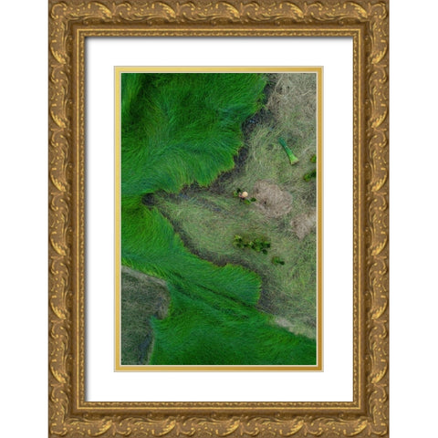 Harvesting Strabismus Gold Ornate Wood Framed Art Print with Double Matting by Trung Dung, Ngo