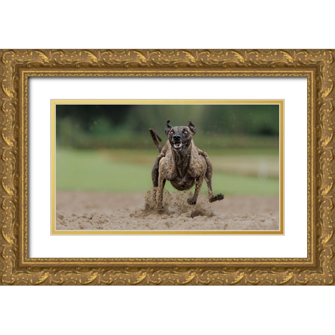The Look Gold Ornate Wood Framed Art Print with Double Matting by Engelbos, Mieke