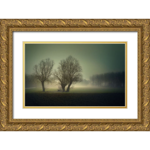 Morning Lights Gold Ornate Wood Framed Art Print with Double Matting by Pessotto, Tommaso