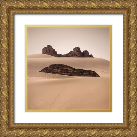 Erg Admer Gold Ornate Wood Framed Art Print with Double Matting by Billet, Jean-Luc