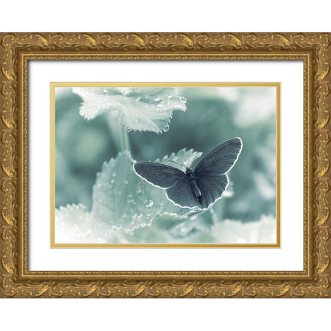 Spots A Drops Gold Ornate Wood Framed Art Print with Double Matting by Williams, Stuart