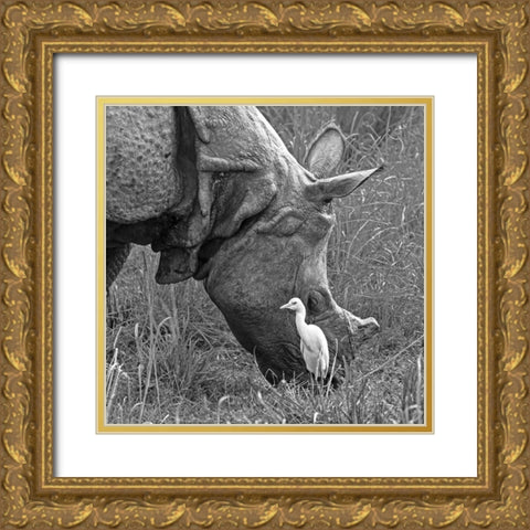 Beauty And The Beast! Gold Ornate Wood Framed Art Print with Double Matting by Dhanorkar, Saurabh