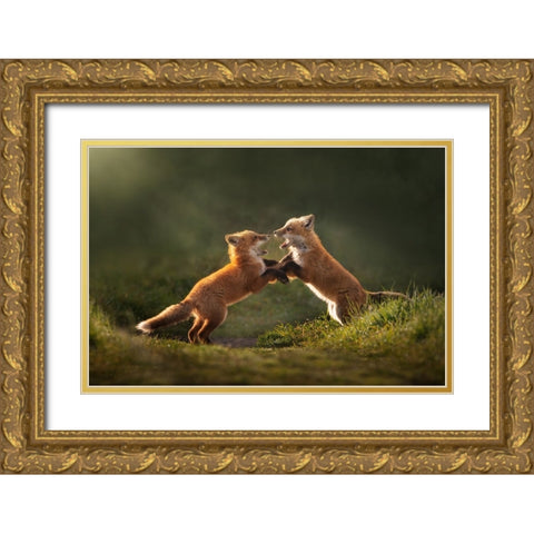 Playful Gold Ornate Wood Framed Art Print with Double Matting by Li, Rob