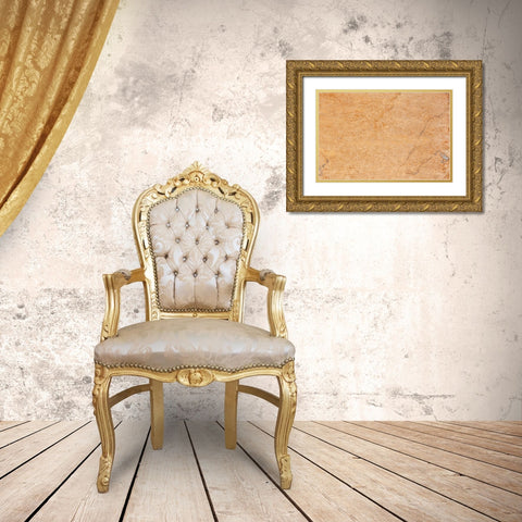 Texture 02 Gold Ornate Wood Framed Art Print with Double Matting by 1x Studio III