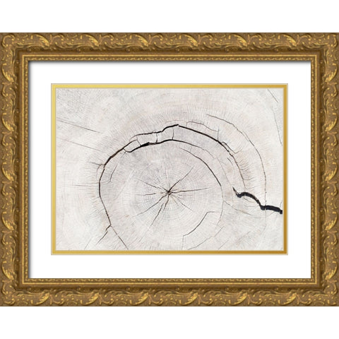 Texture 05 Gold Ornate Wood Framed Art Print with Double Matting by 1x Studio III