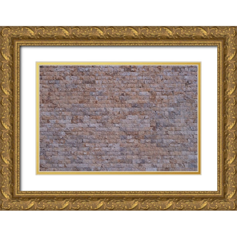 Texture 16 Gold Ornate Wood Framed Art Print with Double Matting by 1x Studio III