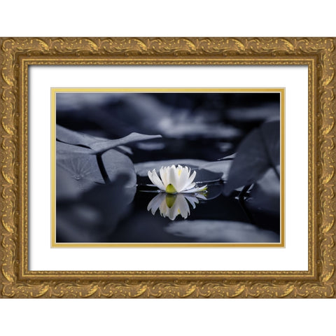 Water mirror Gold Ornate Wood Framed Art Print with Double Matting by Suzuki, Takashi