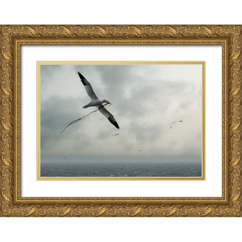 For The Nest Gold Ornate Wood Framed Art Print with Double Matting by Pino, Emilio