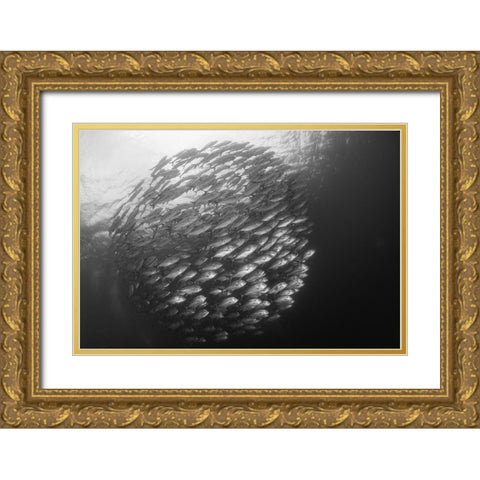 Ball Gold Ornate Wood Framed Art Print with Double Matting by Y Lin, Ryan