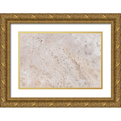 Texture 26 Gold Ornate Wood Framed Art Print with Double Matting by 1x Studio III