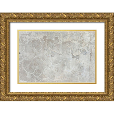 Texture 42 Gold Ornate Wood Framed Art Print with Double Matting by 1x Studio III