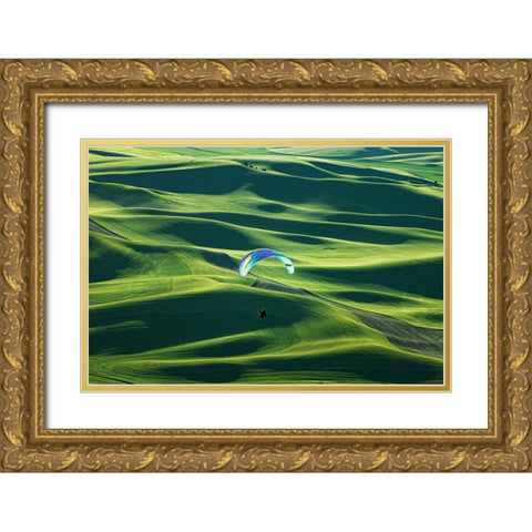 Flying Gold Ornate Wood Framed Art Print with Double Matting by Xu, Tony