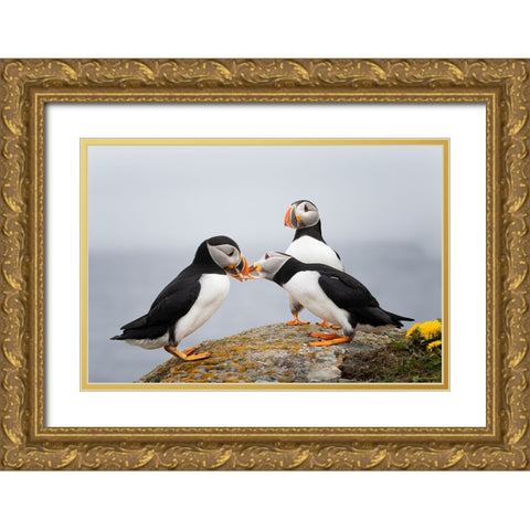 Trio Gold Ornate Wood Framed Art Print with Double Matting by Fu, Molly