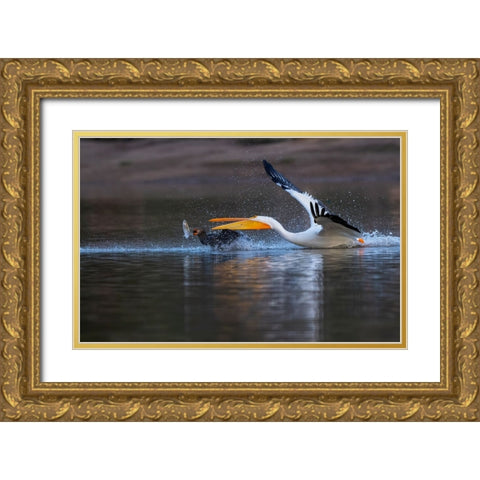 Gimme The Fish! Gold Ornate Wood Framed Art Print with Double Matting by Tseng, Judy
