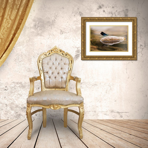 Damselfly Gold Ornate Wood Framed Art Print with Double Matting by Deng, Ivy