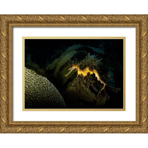 Mimicry Gold Ornate Wood Framed Art Print with Double Matting by Ichinoseki, Sayaka