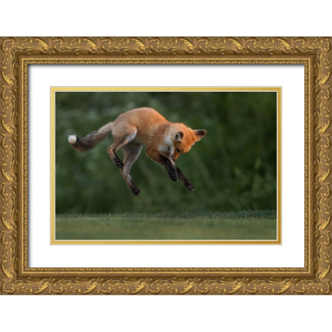 High Jumper Gold Ornate Wood Framed Art Print with Double Matting by Lu, Bill