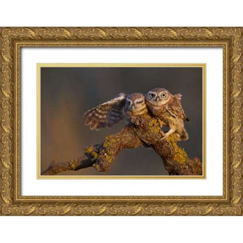 Sweet Couple Gold Ornate Wood Framed Art Print with Double Matting by Manusevich, David