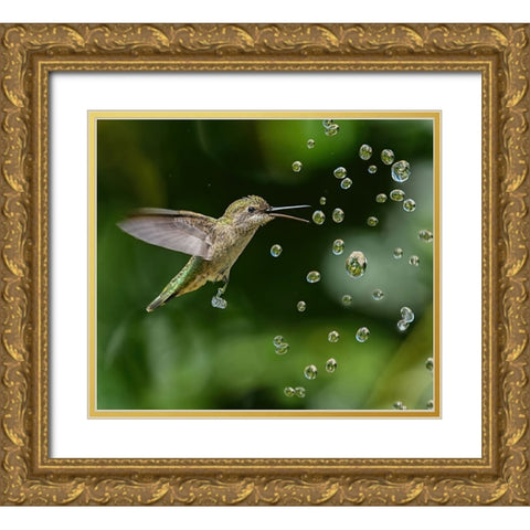 In The World Of Crystals Gold Ornate Wood Framed Art Print with Double Matting by Huang, Xiaojian