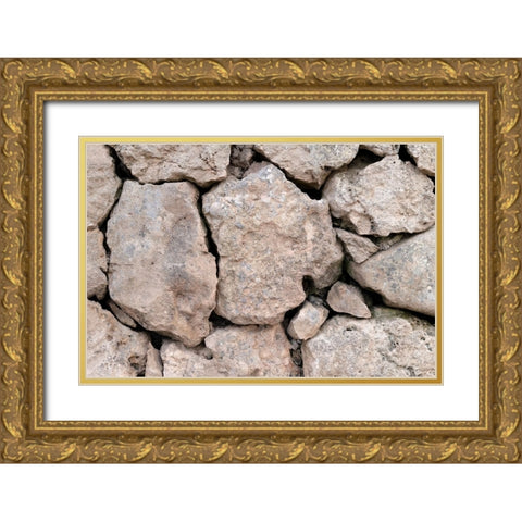 Texture 62 Gold Ornate Wood Framed Art Print with Double Matting by 1x Studio III