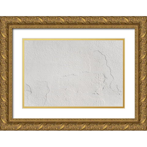 Texture 65 Gold Ornate Wood Framed Art Print with Double Matting by 1x Studio III