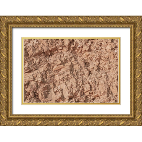 Texture 66 Gold Ornate Wood Framed Art Print with Double Matting by 1x Studio III