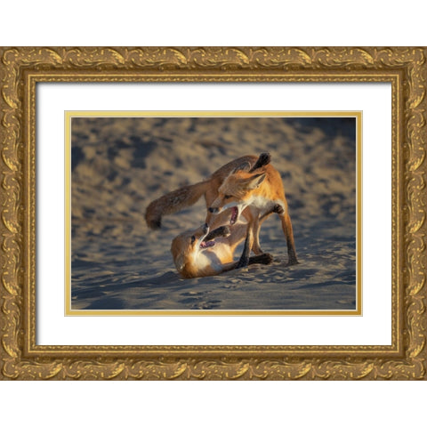 Play Time Gold Ornate Wood Framed Art Print with Double Matting by P., Ruiqing
