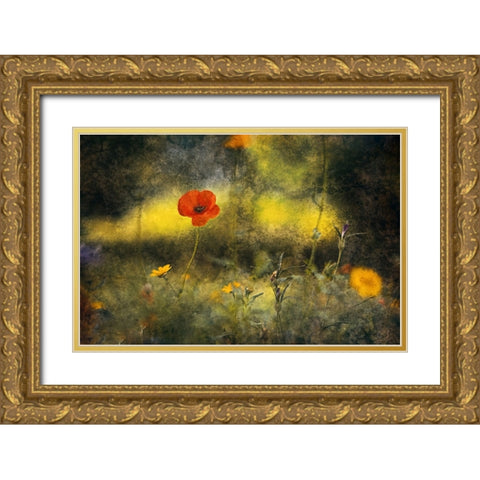 Poppy Gold Ornate Wood Framed Art Print with Double Matting by Van Der, Jan