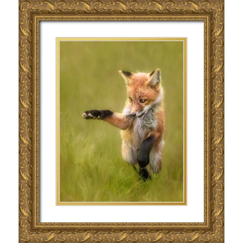 Playful Gold Ornate Wood Framed Art Print with Double Matting by D. Tang, Lisa