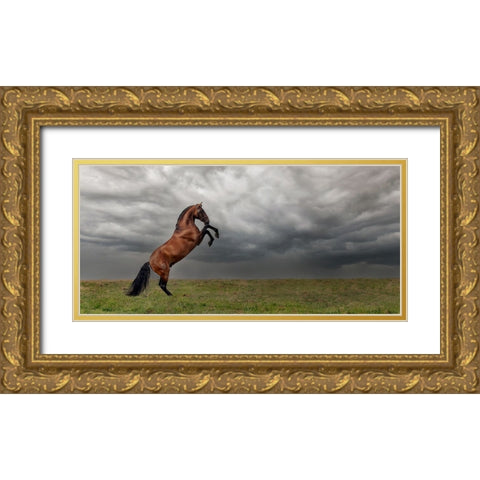 The king of the fields Gold Ornate Wood Framed Art Print with Double Matting by Weerink, Celine