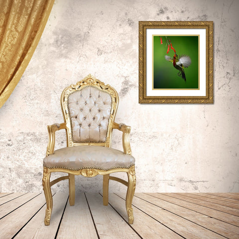 Sunbird 2 Gold Ornate Wood Framed Art Print with Double Matting by Muliani Hartojo, Angela