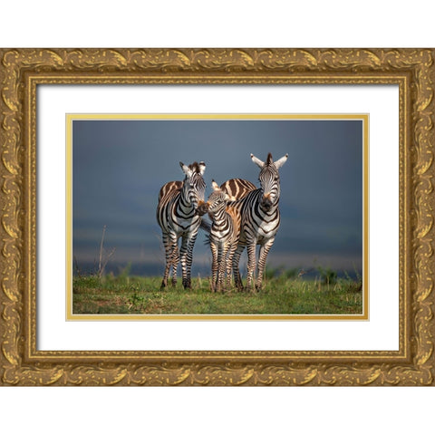 Family Portrait Gold Ornate Wood Framed Art Print with Double Matting by Ortega, Xavier