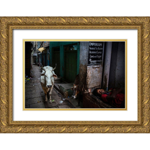 Interludes IV - A Photo Collection Gold Ornate Wood Framed Art Print with Double Matting by Steverson, Michael