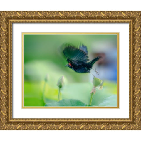 Black Bird Flying Over Lotus Seed Pod Gold Ornate Wood Framed Art Print with Double Matting by Liang, Ken