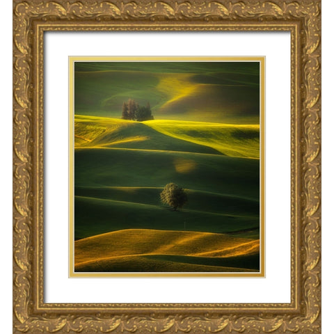 Golden Hours Of The Palouse Gold Ornate Wood Framed Art Print with Double Matting by Zhang, Joan