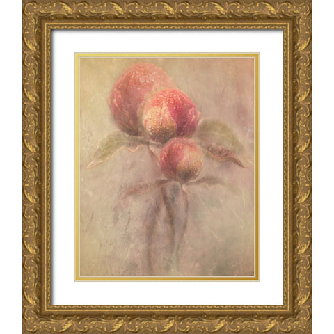 Peonies Gold Ornate Wood Framed Art Print with Double Matting by Zvinakeviciute, Kristina