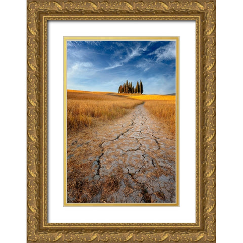 Path Of Cracks Gold Ornate Wood Framed Art Print with Double Matting by Hatch, Richie