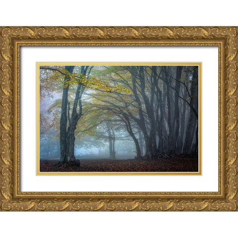 Trees In The Fog Gold Ornate Wood Framed Art Print with Double Matting by Barboni, Sergio